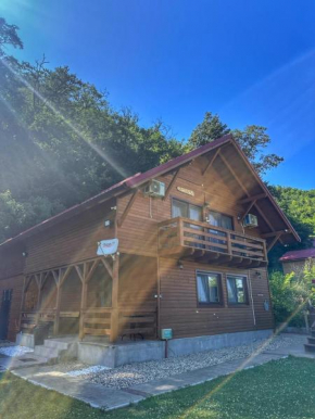 Casa Favorit
